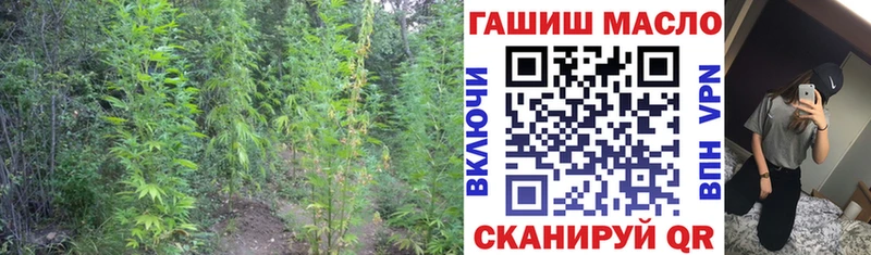 Дистиллят ТГК жижа  Купить закладки  Волгореченск 