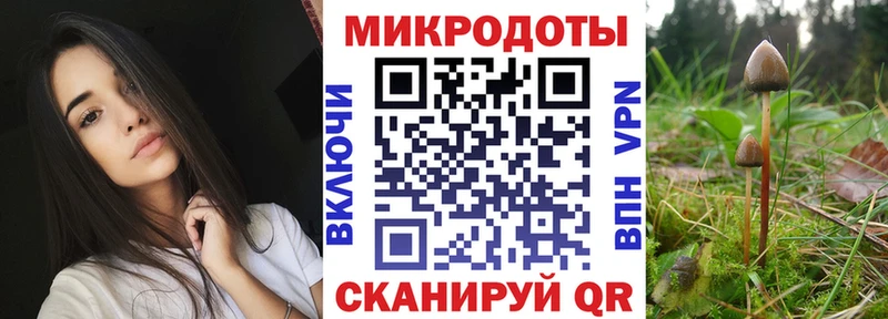 Псилоцибиновые грибы Cubensis  Купить где  Волгореченск 